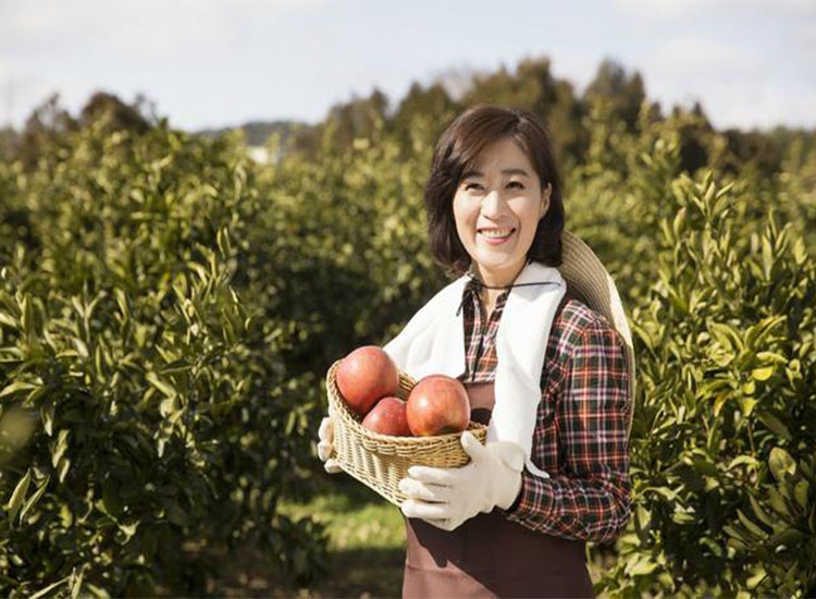 【潤(rùn)康】磨煤機(jī)磨輥與您分享：互聯(lián)網(wǎng)巨頭紛紛賣菜，農(nóng)民會(huì)不會(huì)被“割韭菜”？